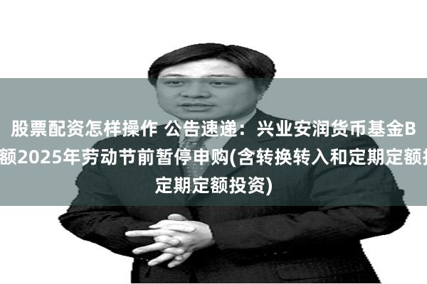 股票配资怎样操作 公告速递：兴业安润货币基金B类份额2025年劳动节前暂停申购(含转换转入和定期定额投资)