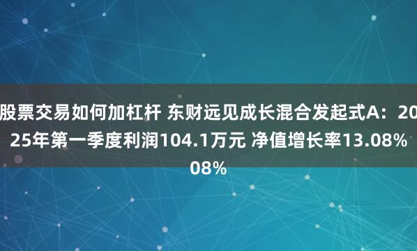 股票交易如何加杠杆 东财远见成长混合发起式A：2025年第一季度利润104.1万元 净值增长率13.08%