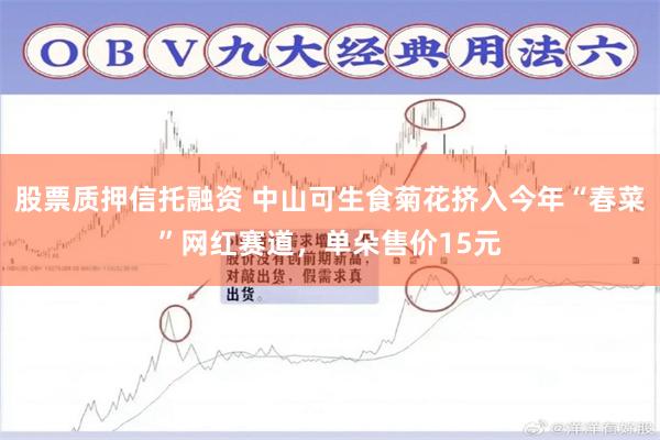 股票质押信托融资 中山可生食菊花挤入今年“春菜”网红赛道，单朵售价15元