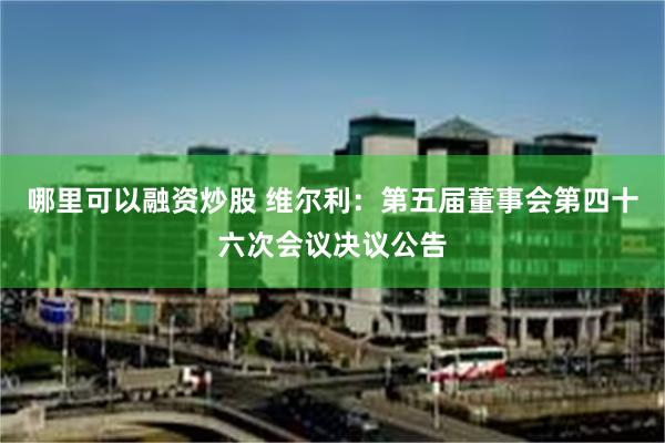 哪里可以融资炒股 维尔利：第五届董事会第四十六次会议决议公告