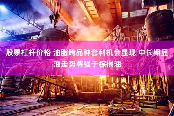 股票杠杆价格 油脂跨品种套利机会显现 中长期豆油走势将强于棕榈油